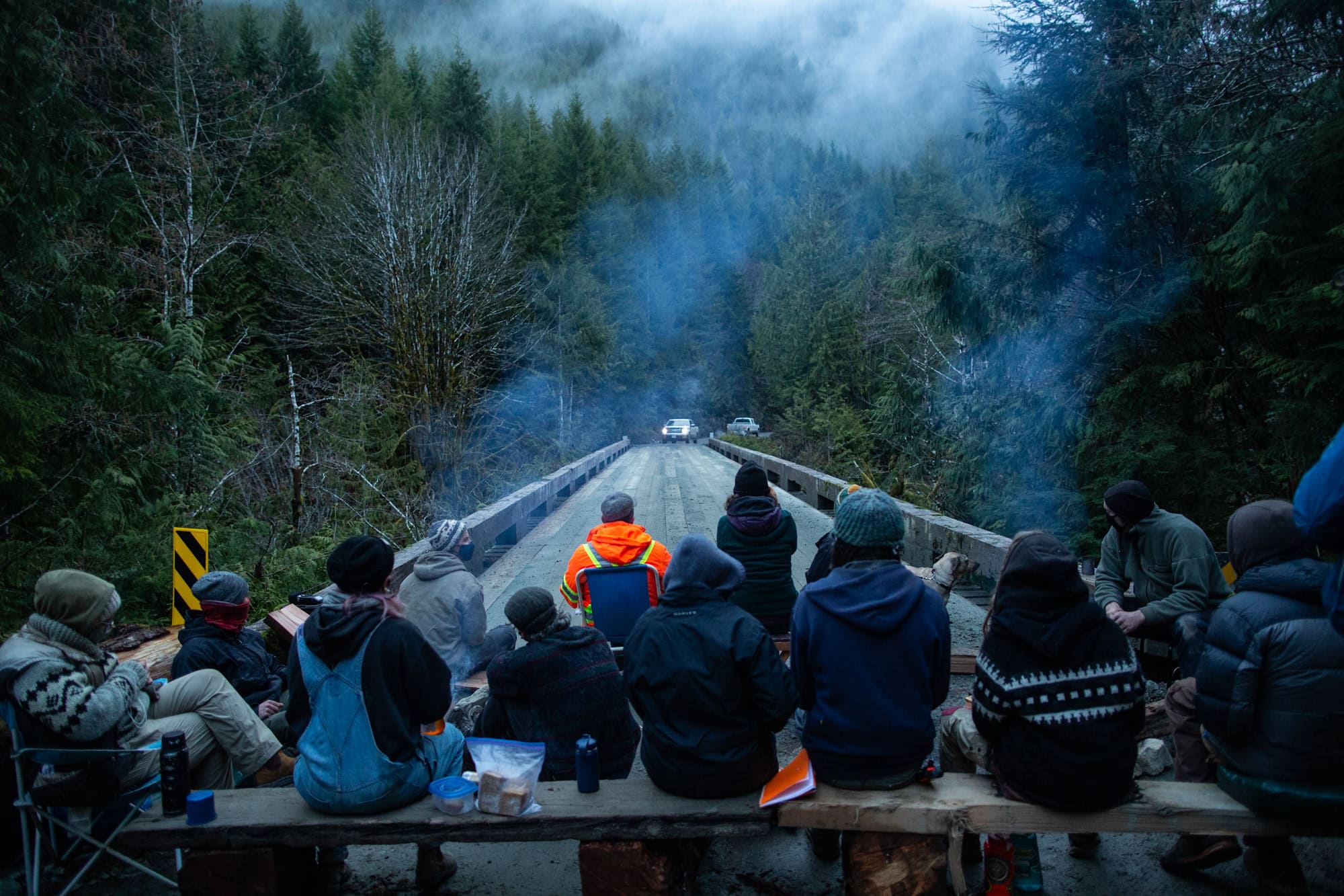 Fairy Creek BC Vancouver Old Growth Blockades-09