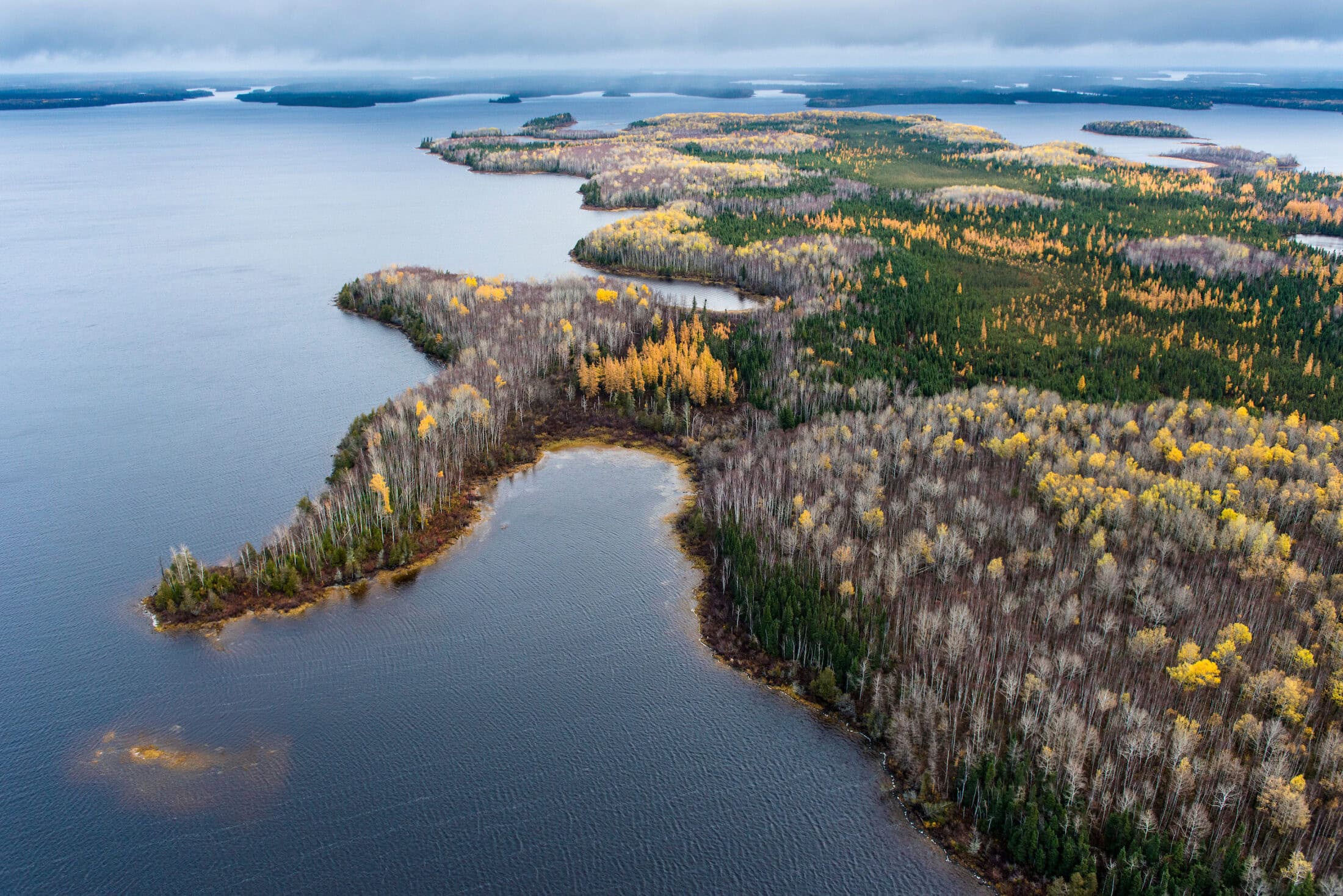 James Bay Lowlands, northern Ontario.