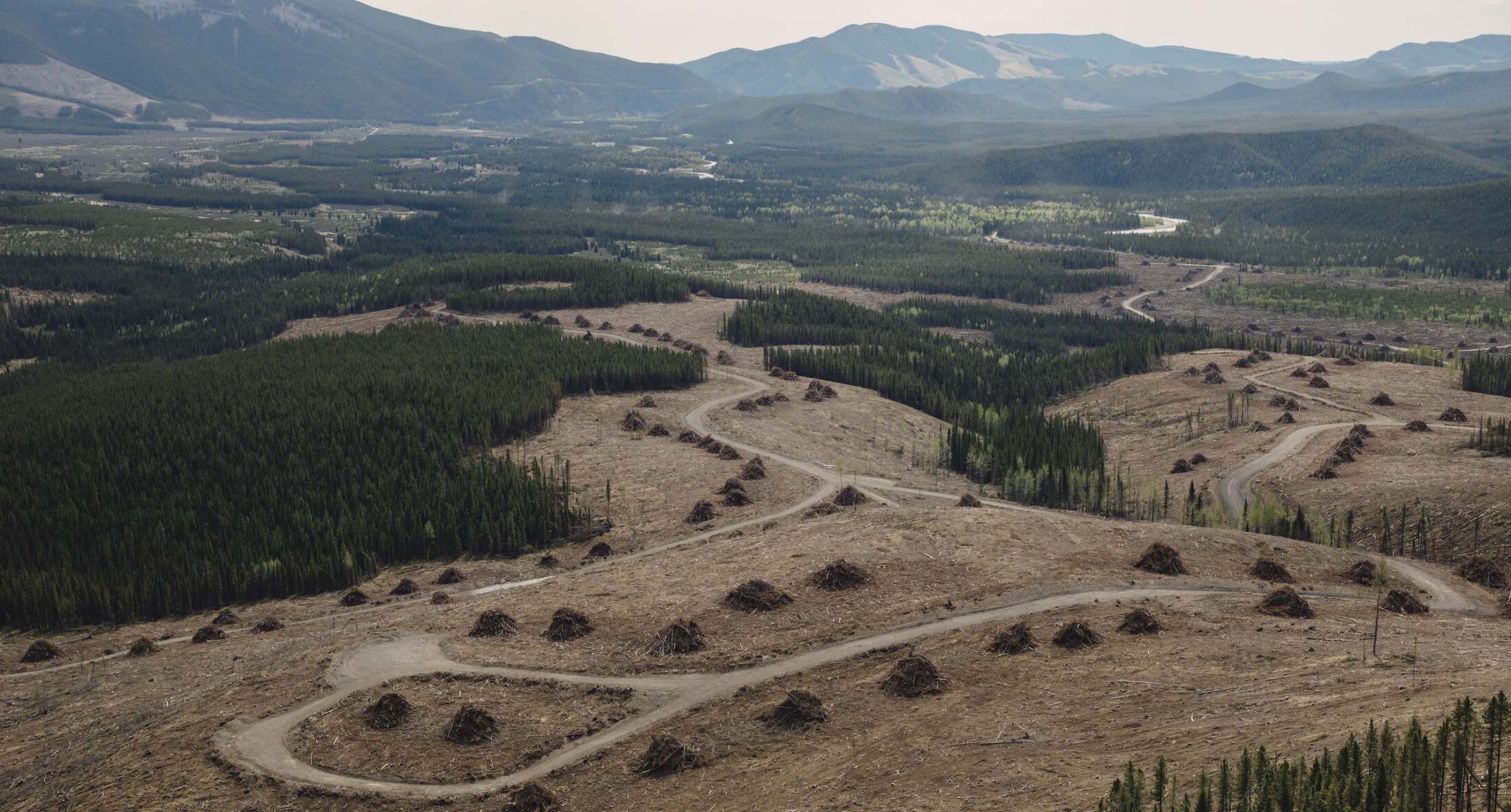 Alberta-Rocky-Mountains-Coal-HelicopterTour017