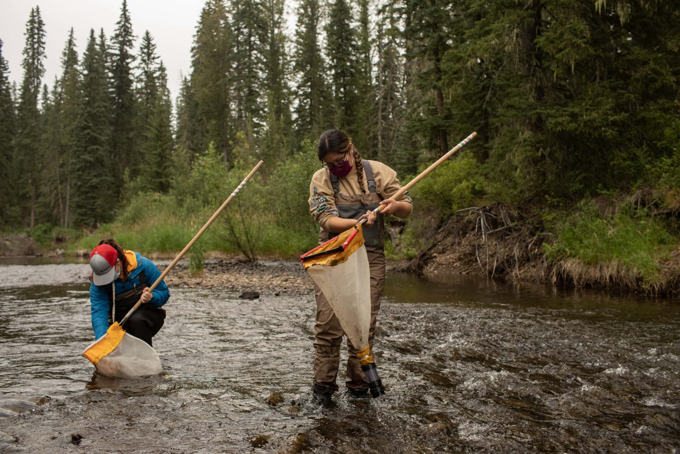 CABIN Alberta watershed monitoring Amber Bracken The Narwhal Training21