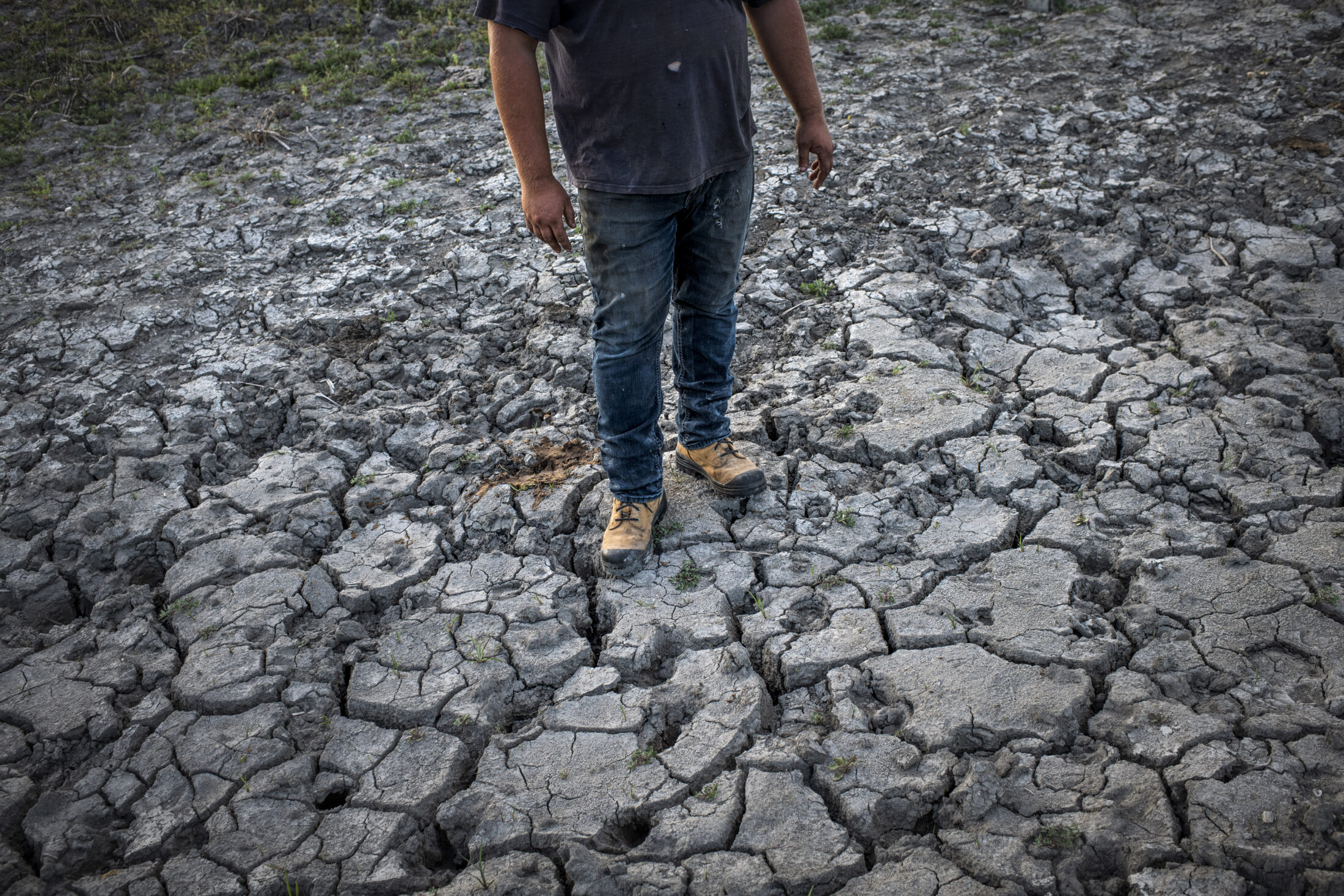 Manitoba drought climate change