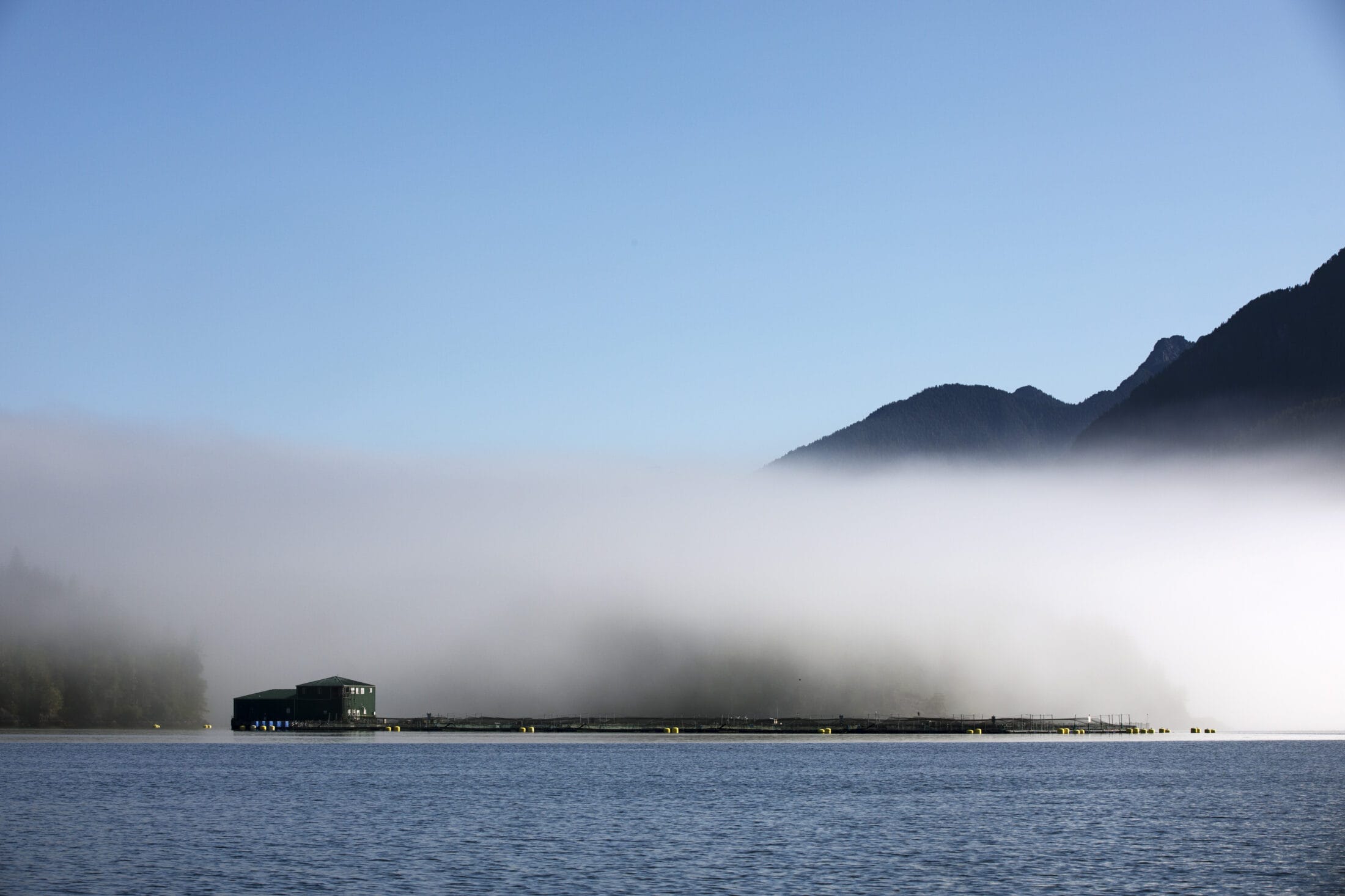 B.C. Clayoquot Sound drought salmonhousahtGuardian249