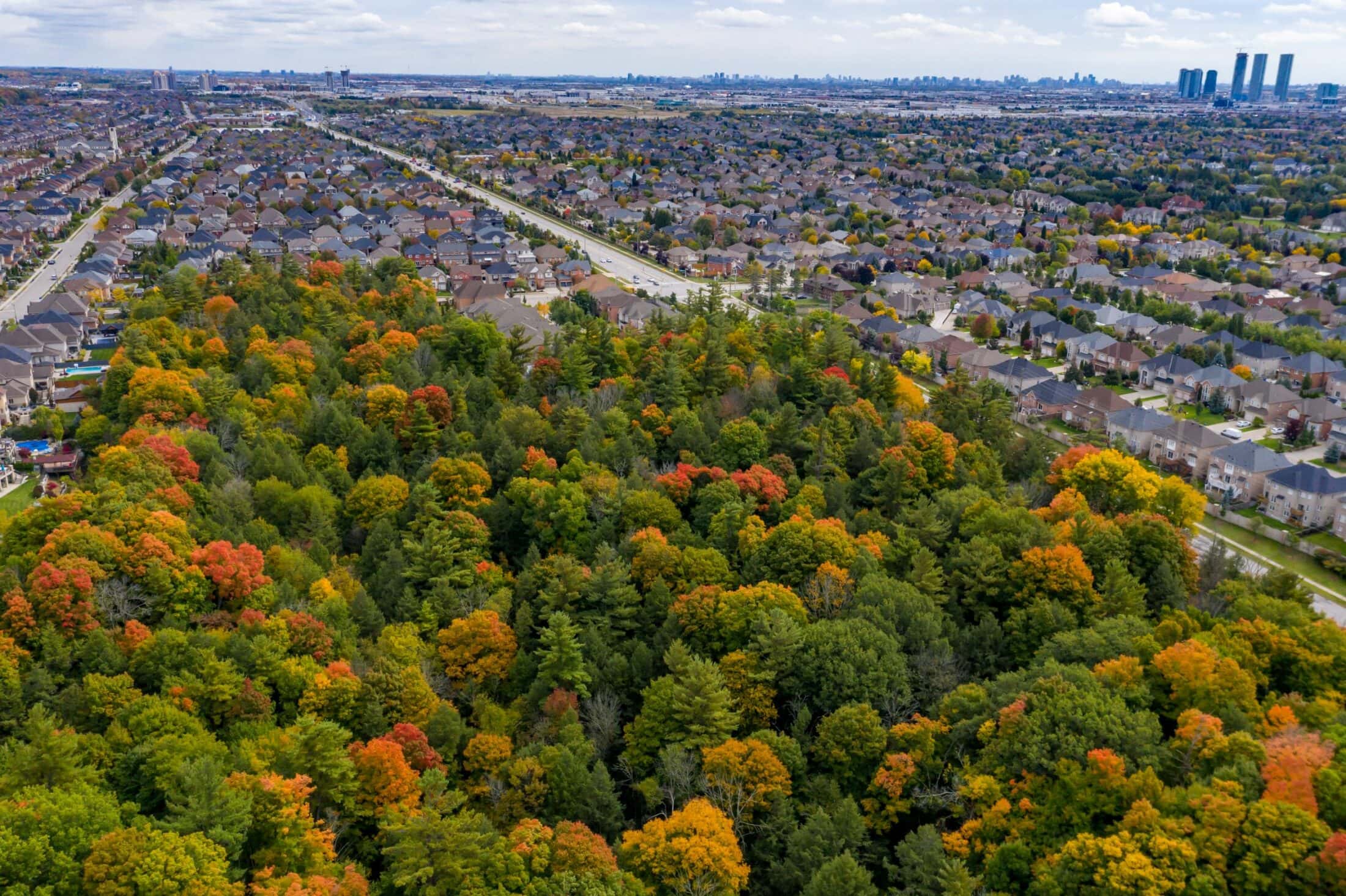 iStock-York Region-Greenbelt