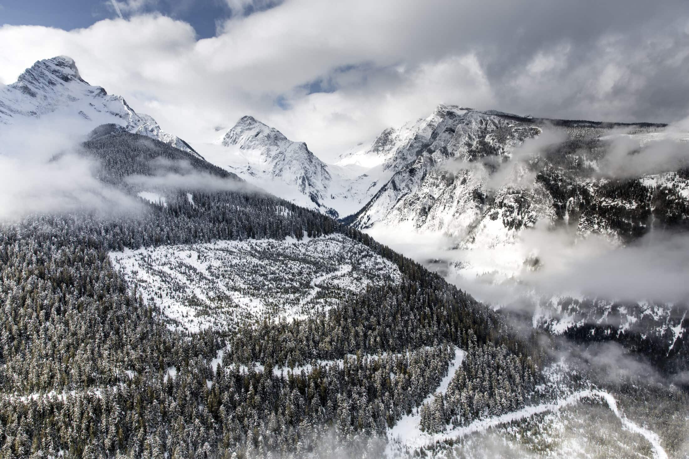 Clearcut in the Monashee Mountains, B.C. Caribou habitat DavidMoskowitz-8005