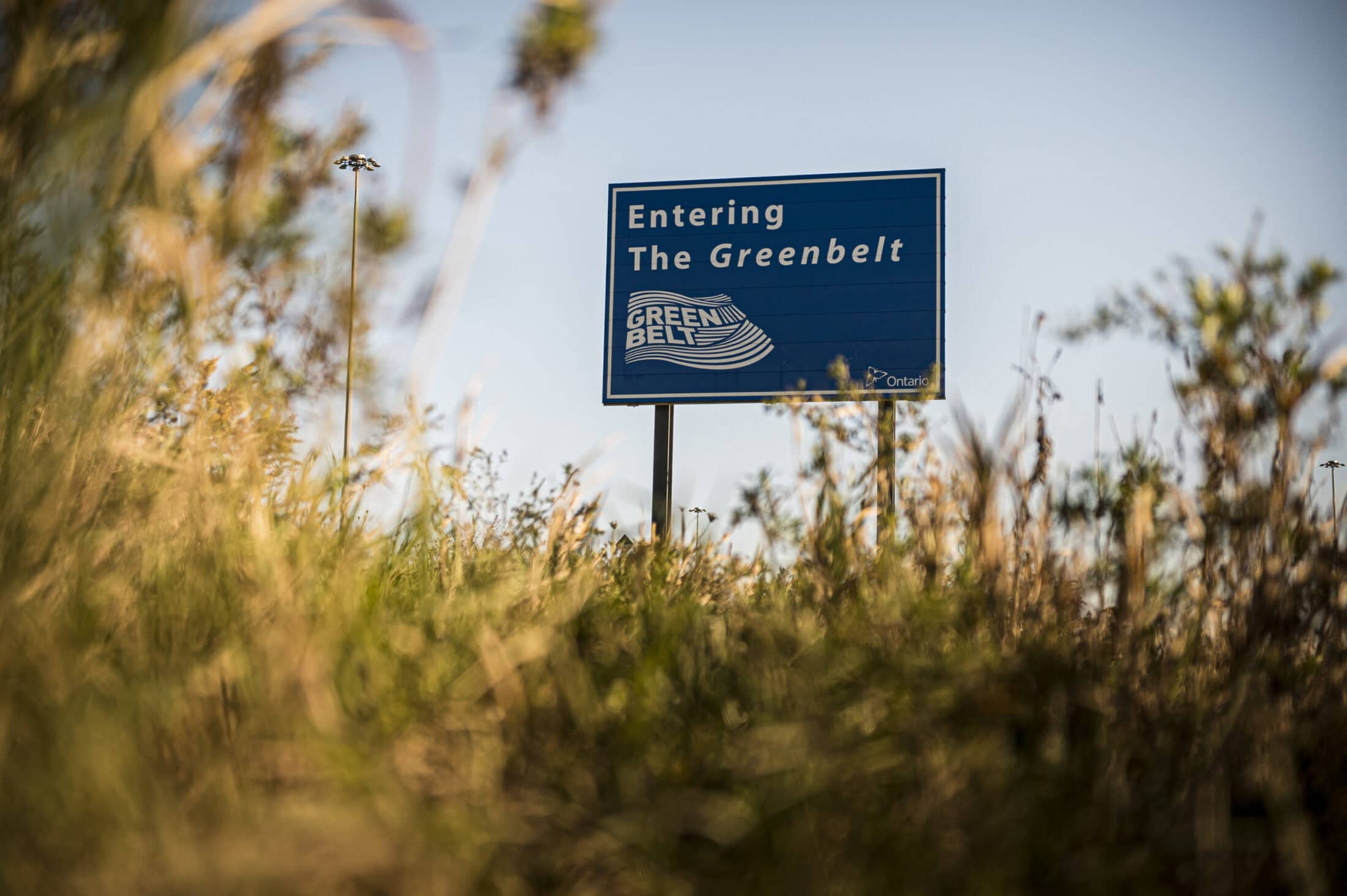 Greenbelt sign with grass