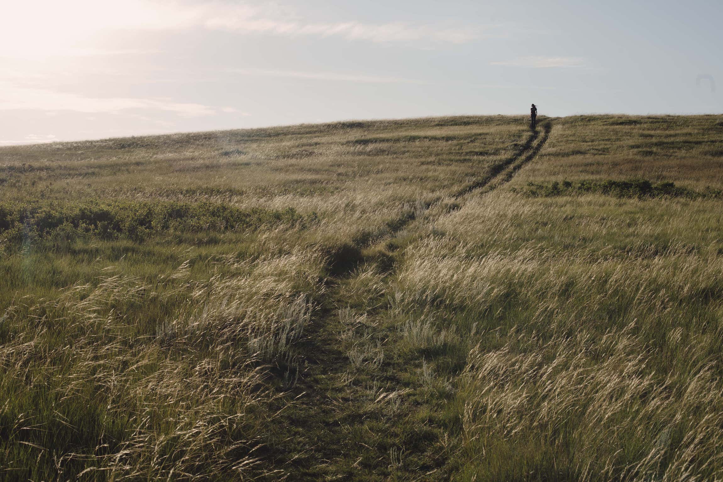 alberta-grasslands-prairies-topic