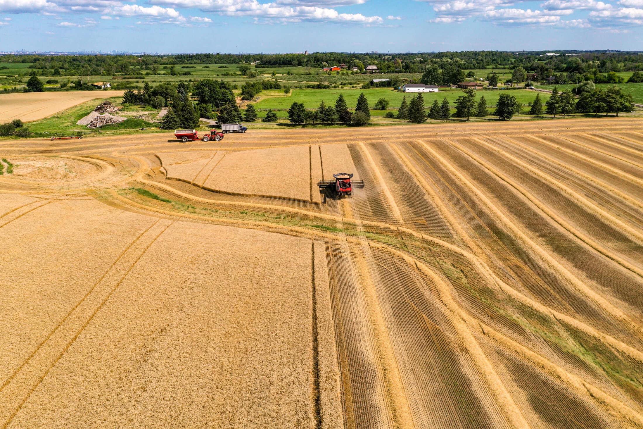 Combine harvesting in Caledon Ontario