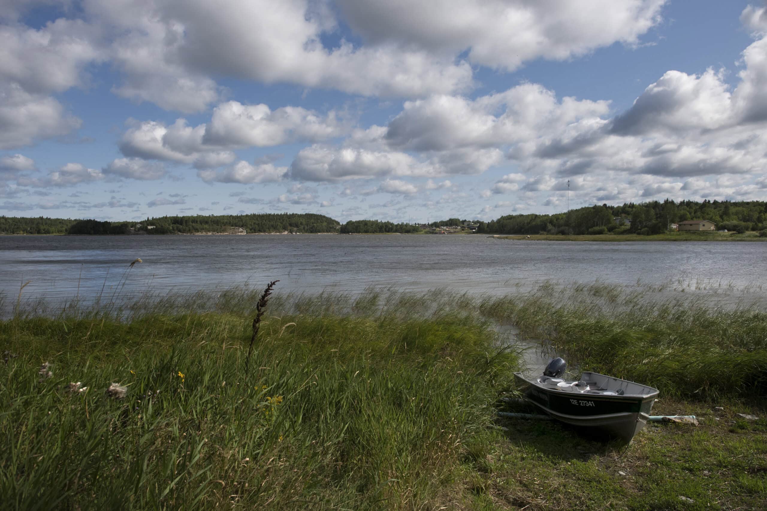 Grassy Narrows; First Nations; Indigenous; rivers; mercury; mercury poisoning; health;