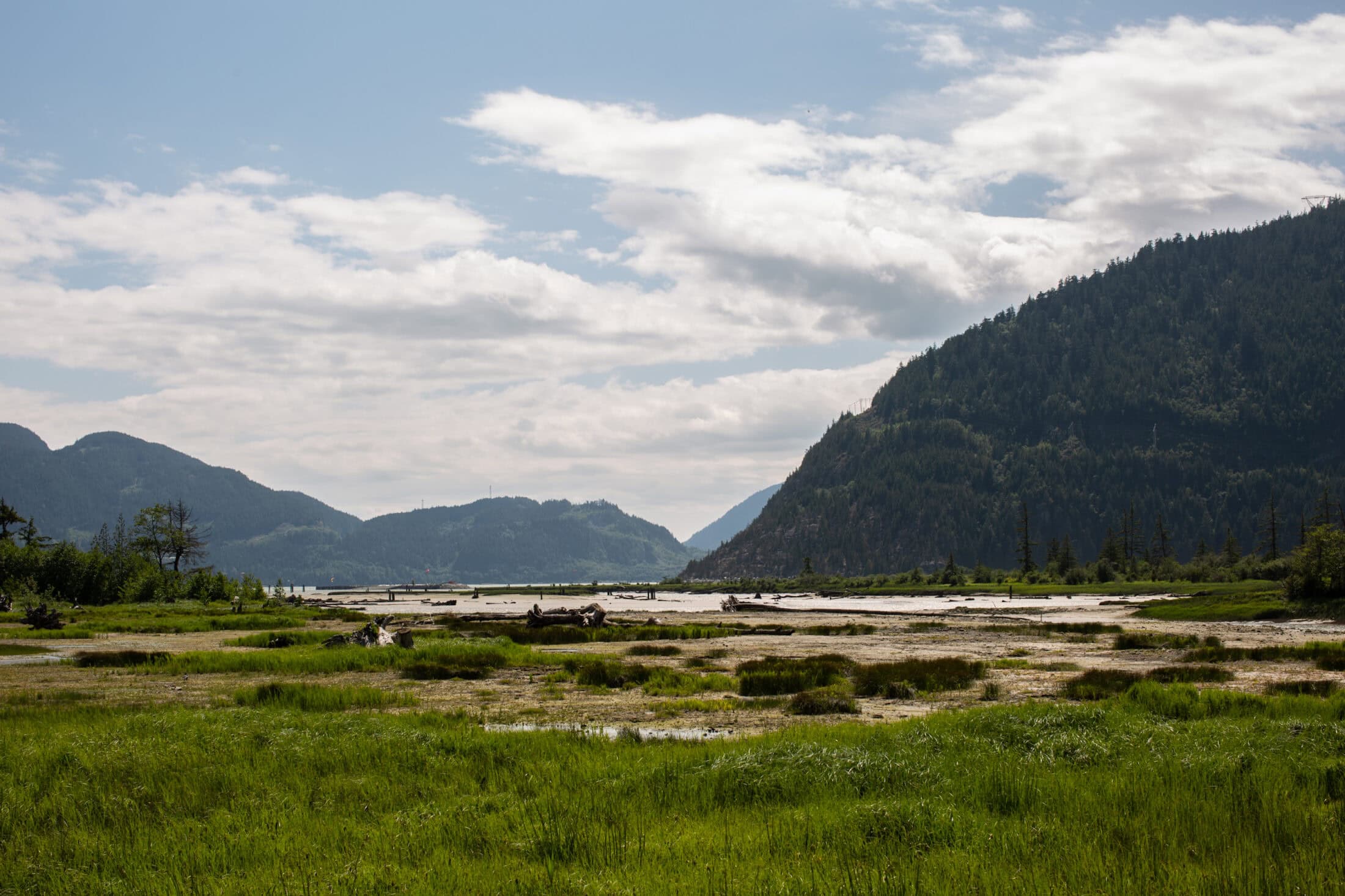 Squamish Estuary Detail-1