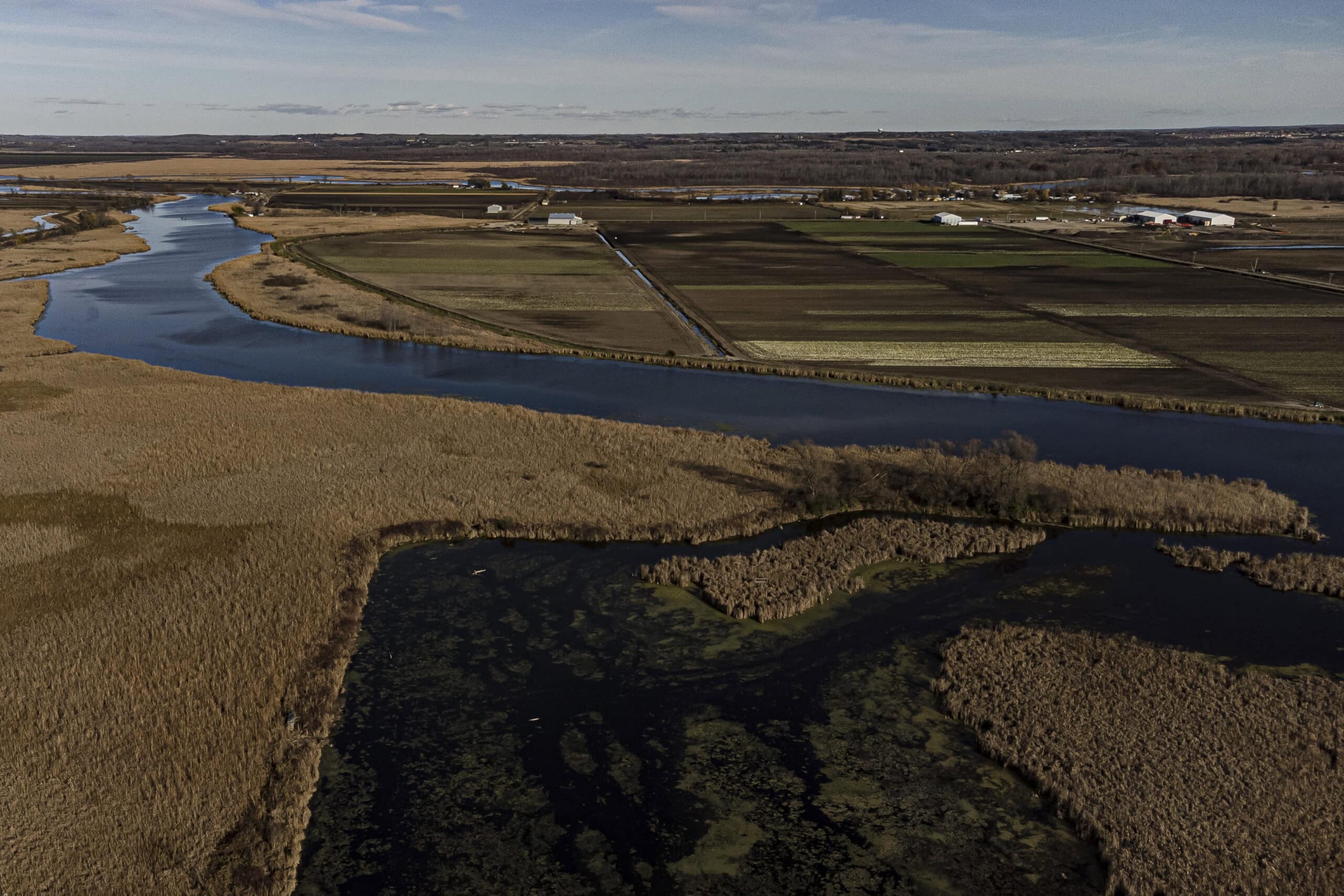 Holland River Chris Luna