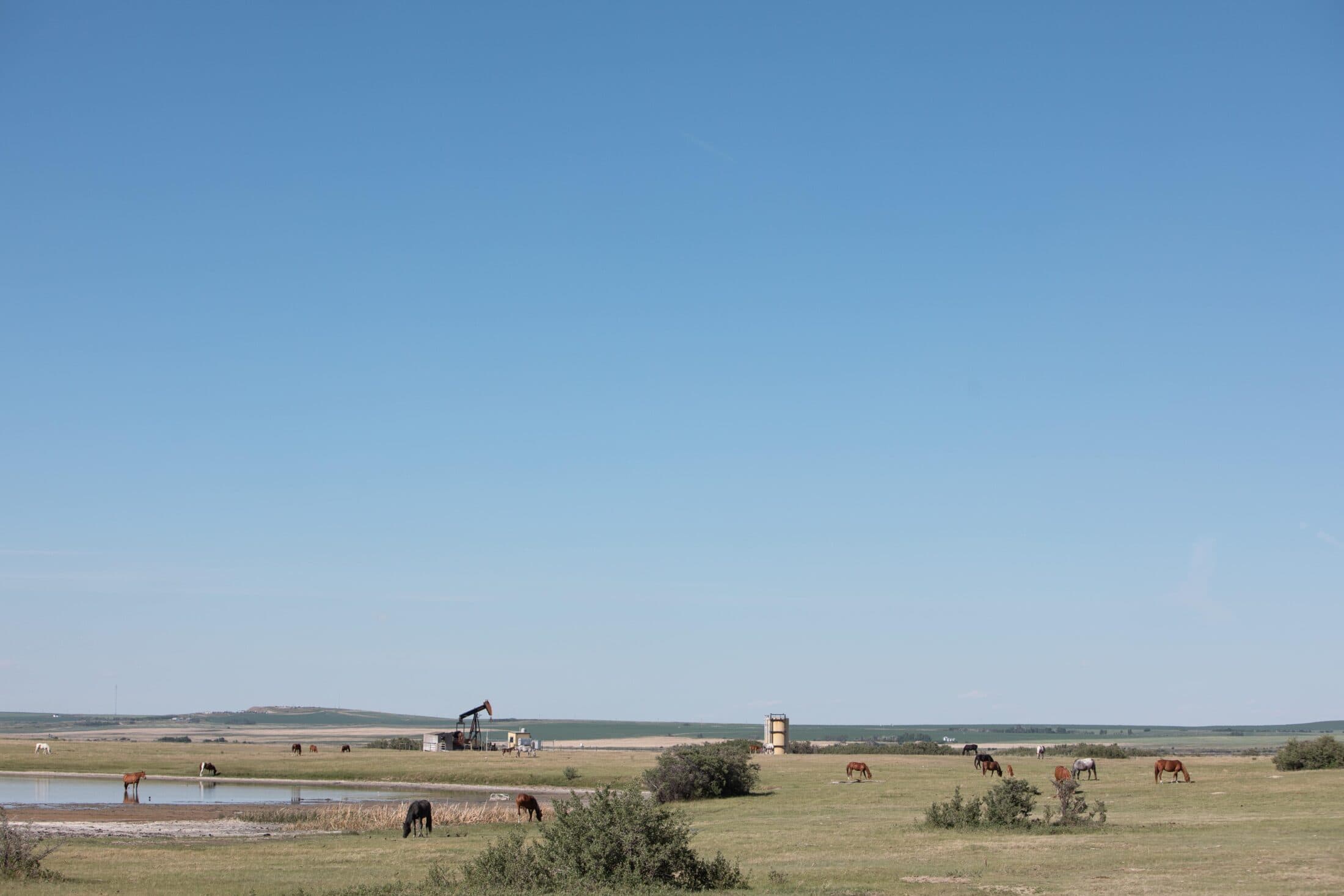 Bracken-Alberta-oil-gas-cleanup-Danielle-Smith