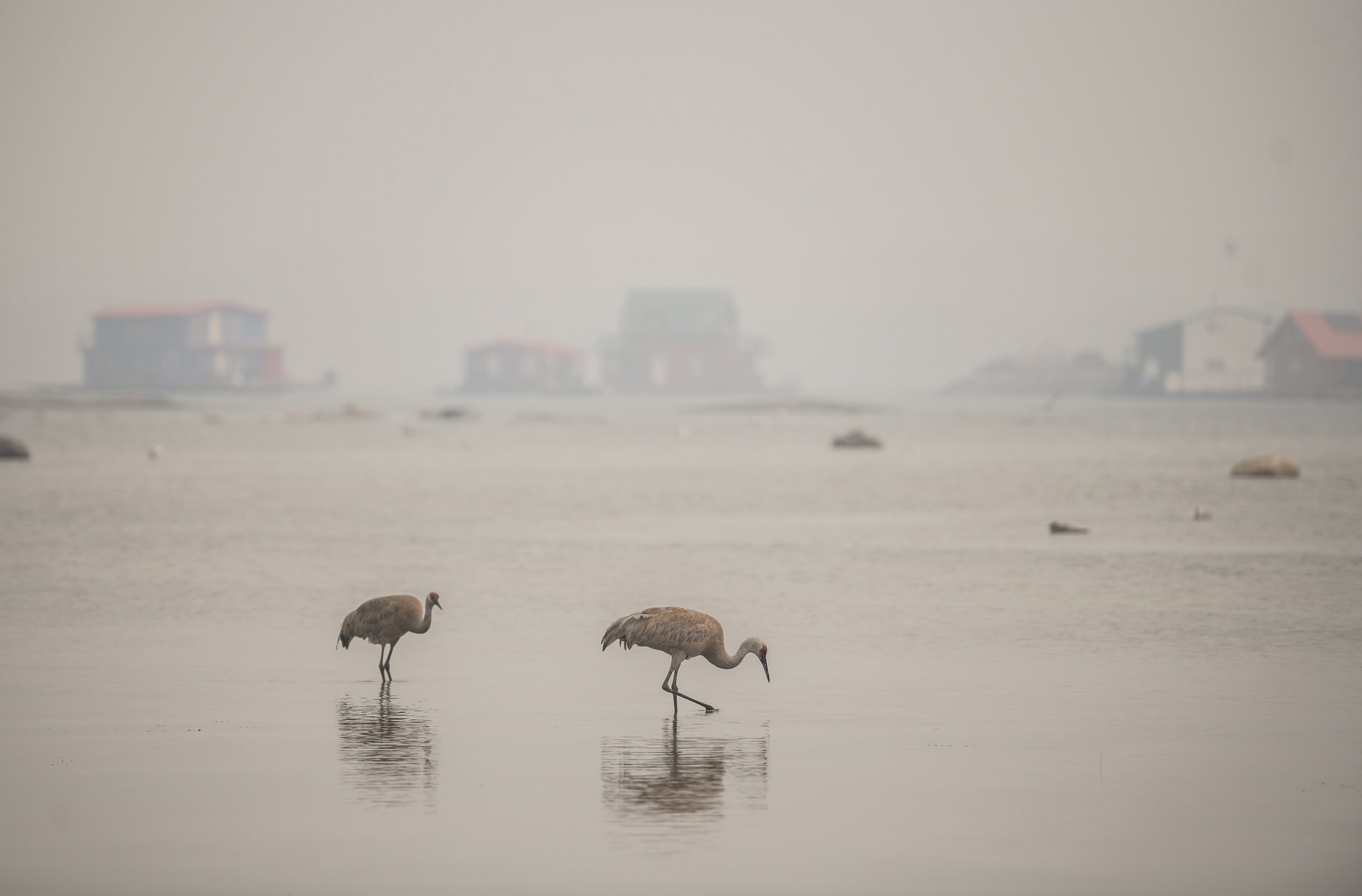 yellowknife-smoke-wildfires-2023