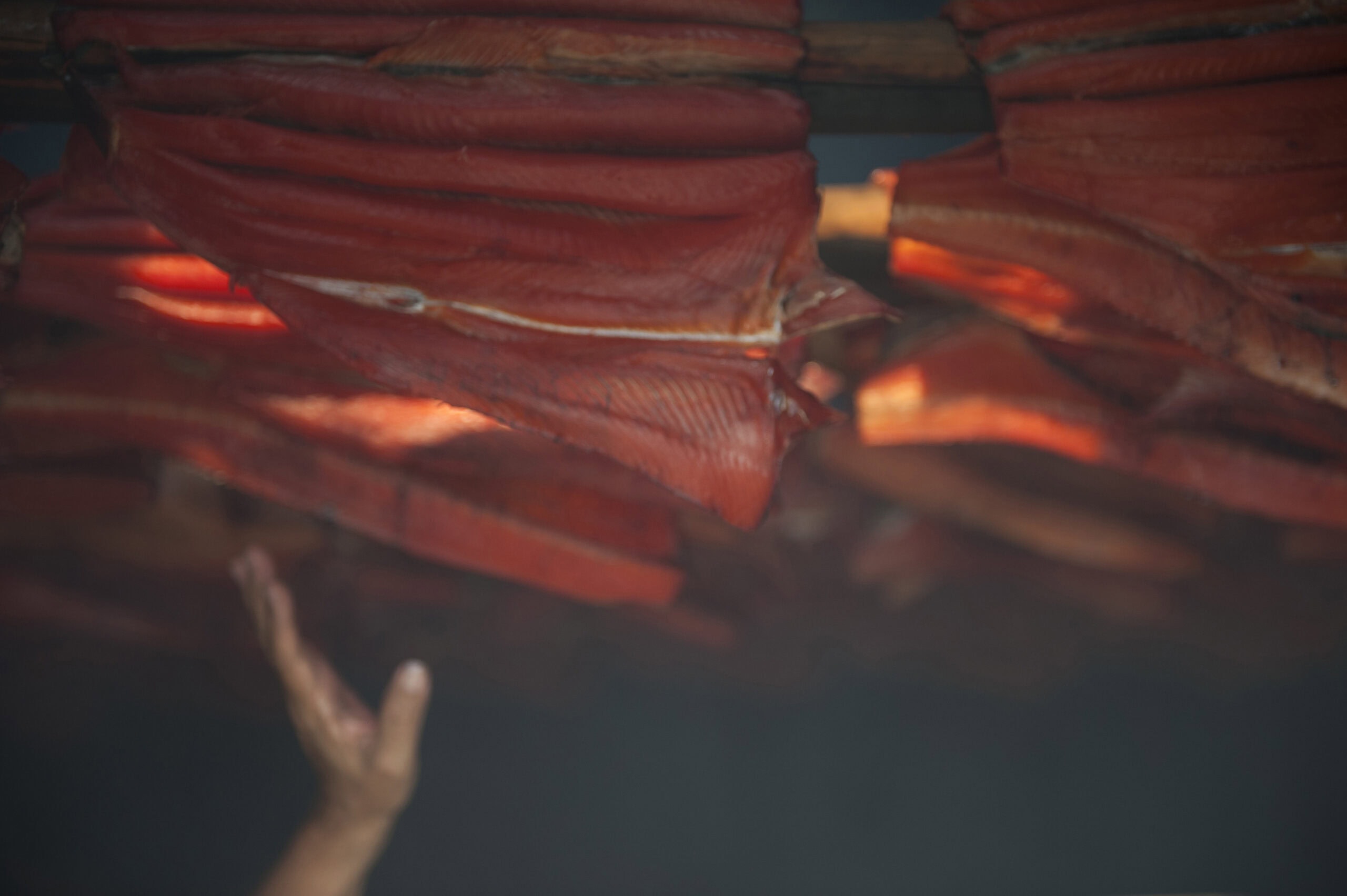 Salmon hangs in a smokehouse at Nedo’ats (Old Fort) on August 22, 2023