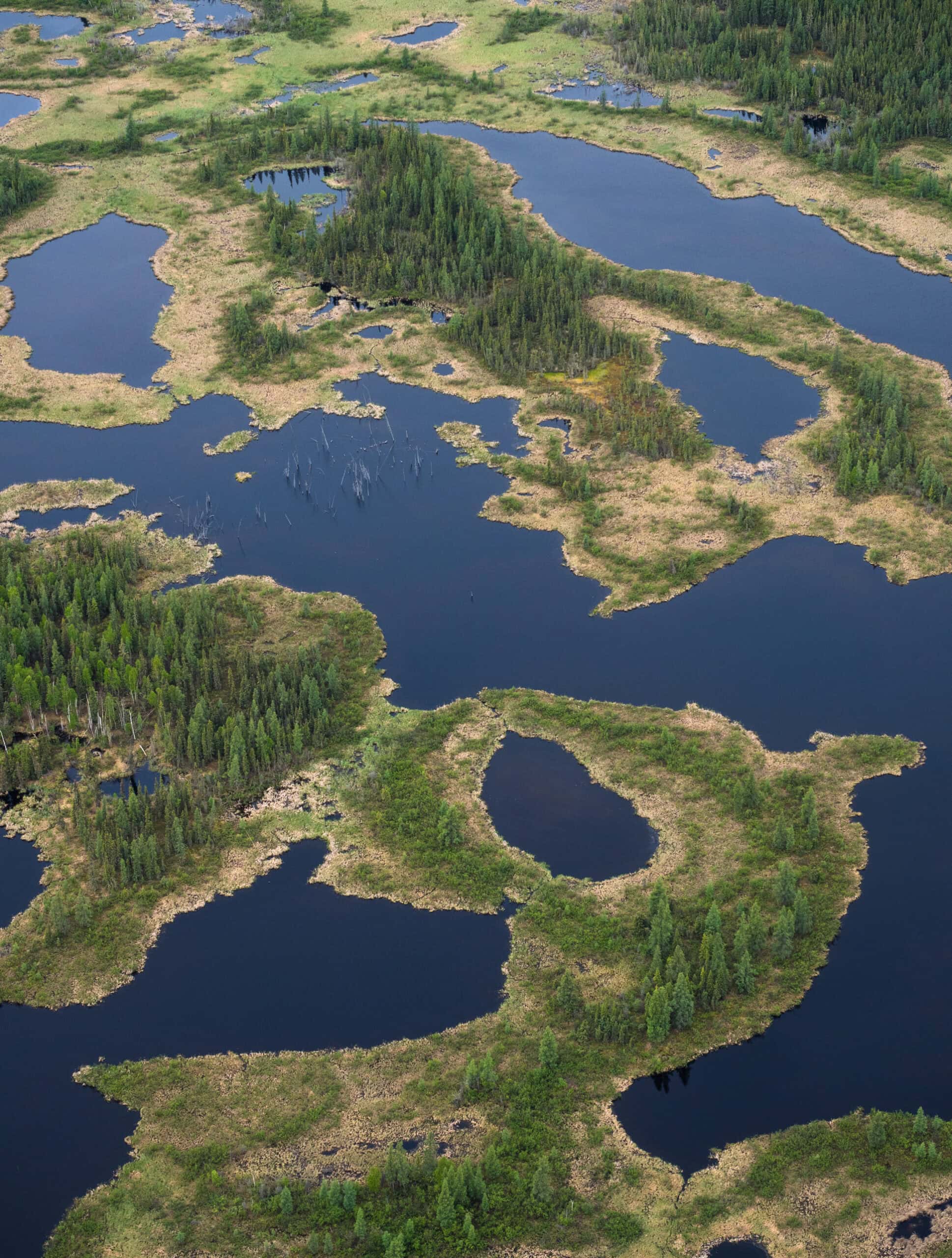Aerial view of Wood Buffalo National Park, Canada's largest national park.