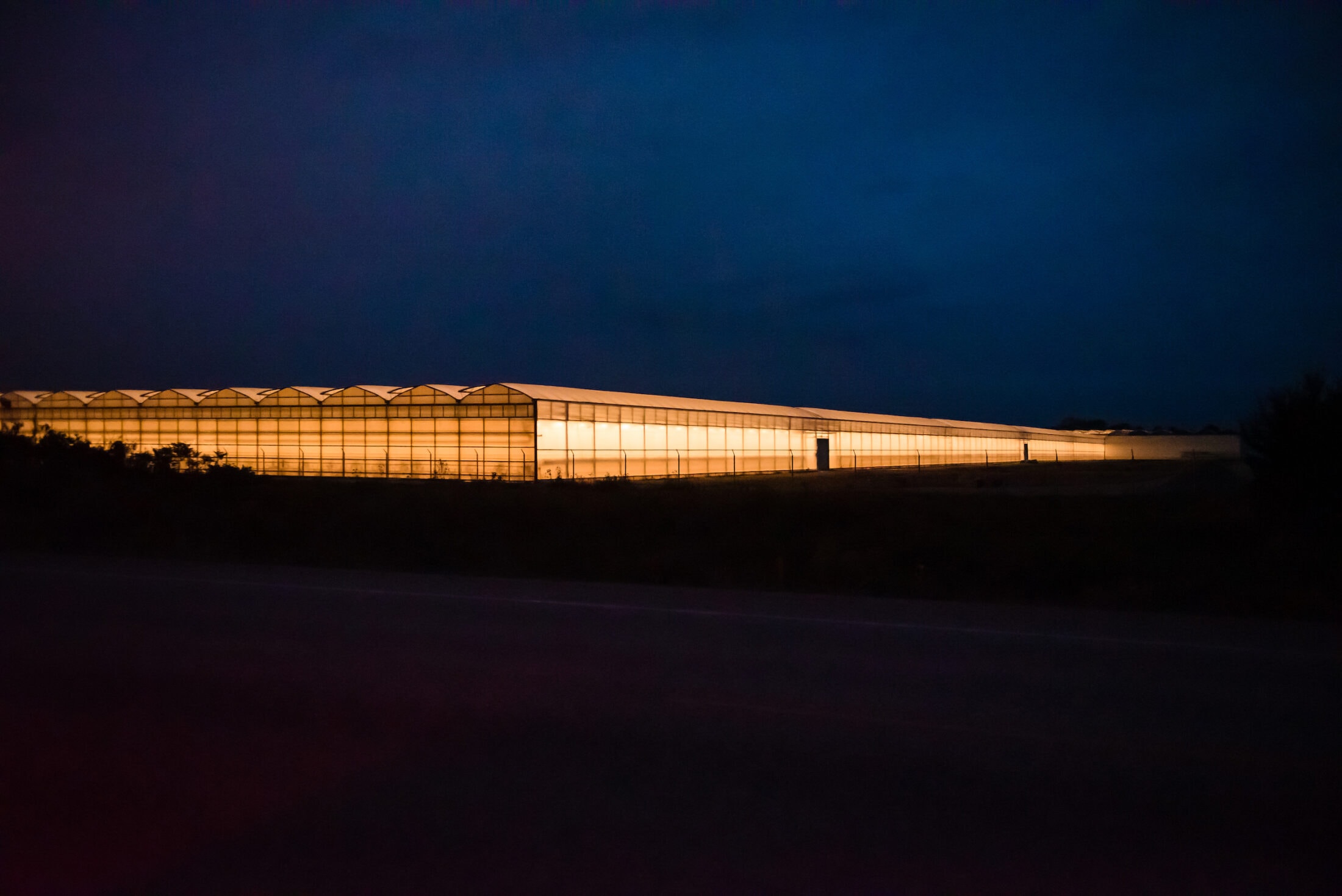 Ontario-greenhouses-LakeErie-Panasiuk-_9640