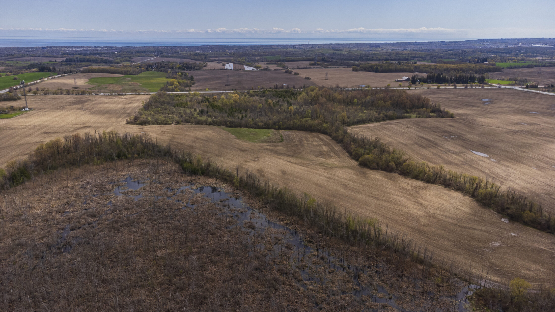 ONT-Greenbelt-development-DuffinsRougeAgriculturalPreserve-wetlandfield-ChrisLuna-TheNarwhal