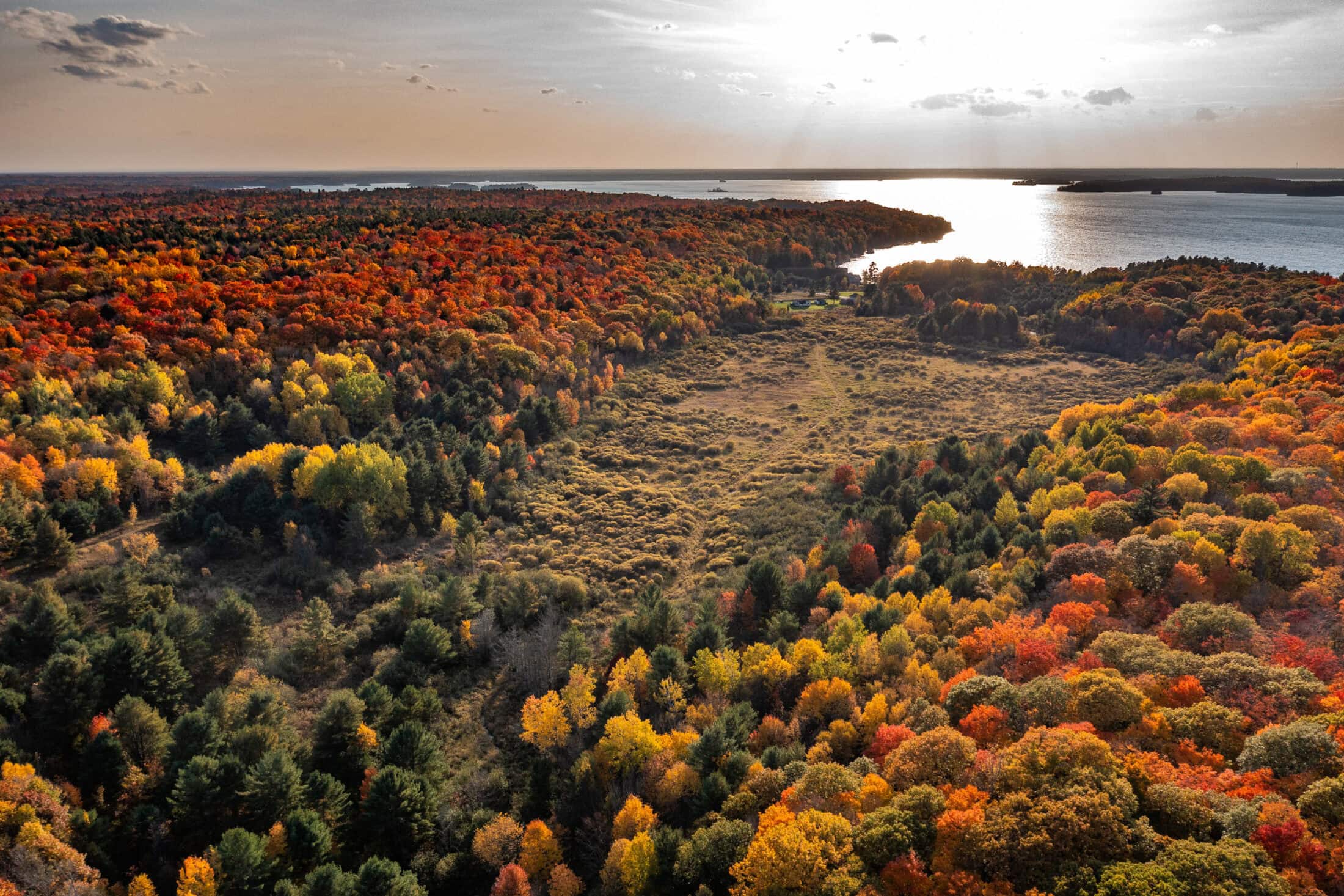 ONT-Muskoka Wetland-andy-zeltkalns-4