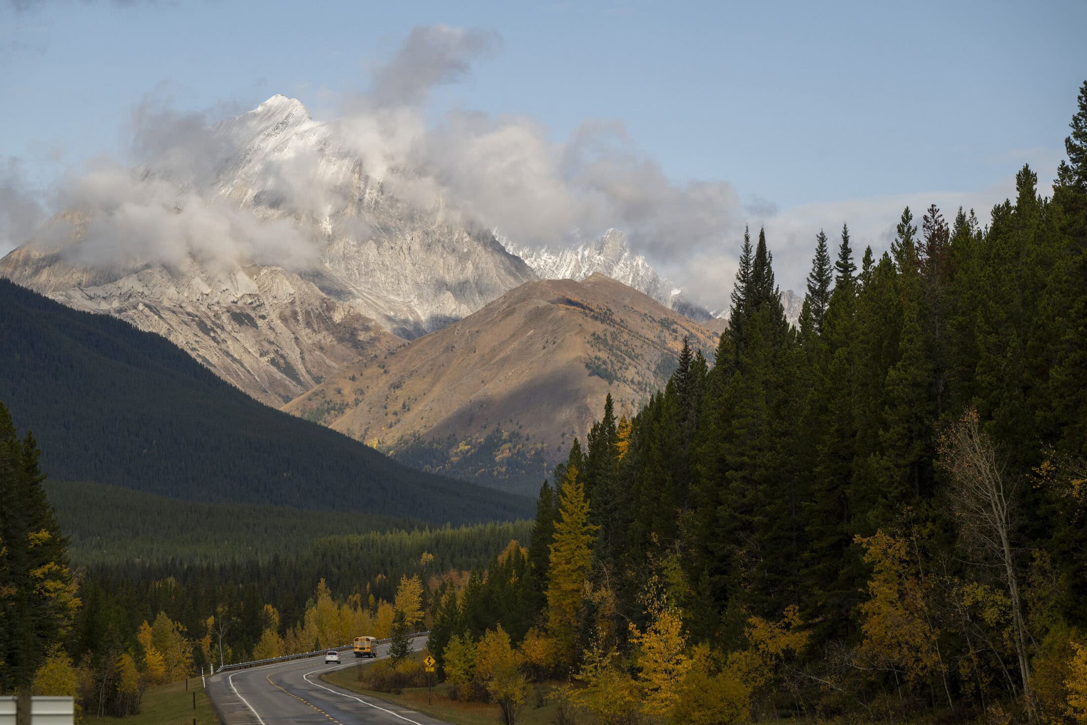 Kananaskis logging