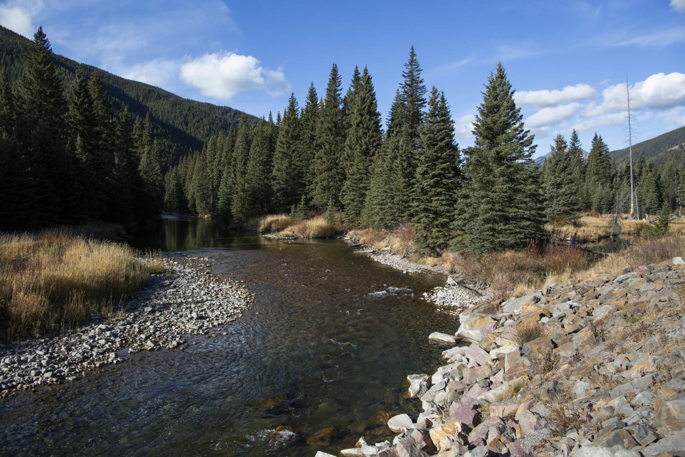 Kootenay-River-Teck-Elk-Valley-mines-selenium-53-scaled