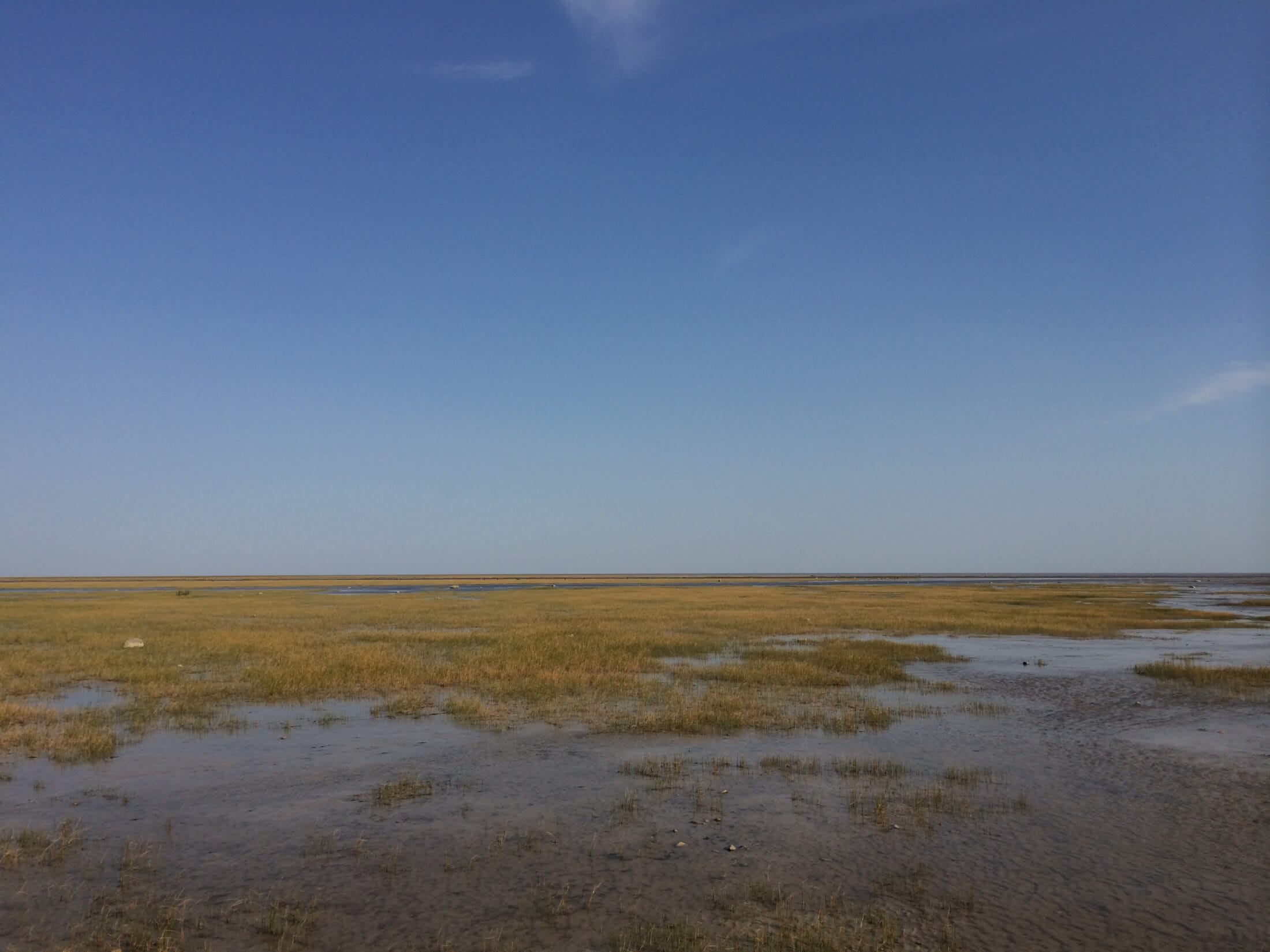 ONT-Muskeg Kashechewan-MushkegowukCouncil