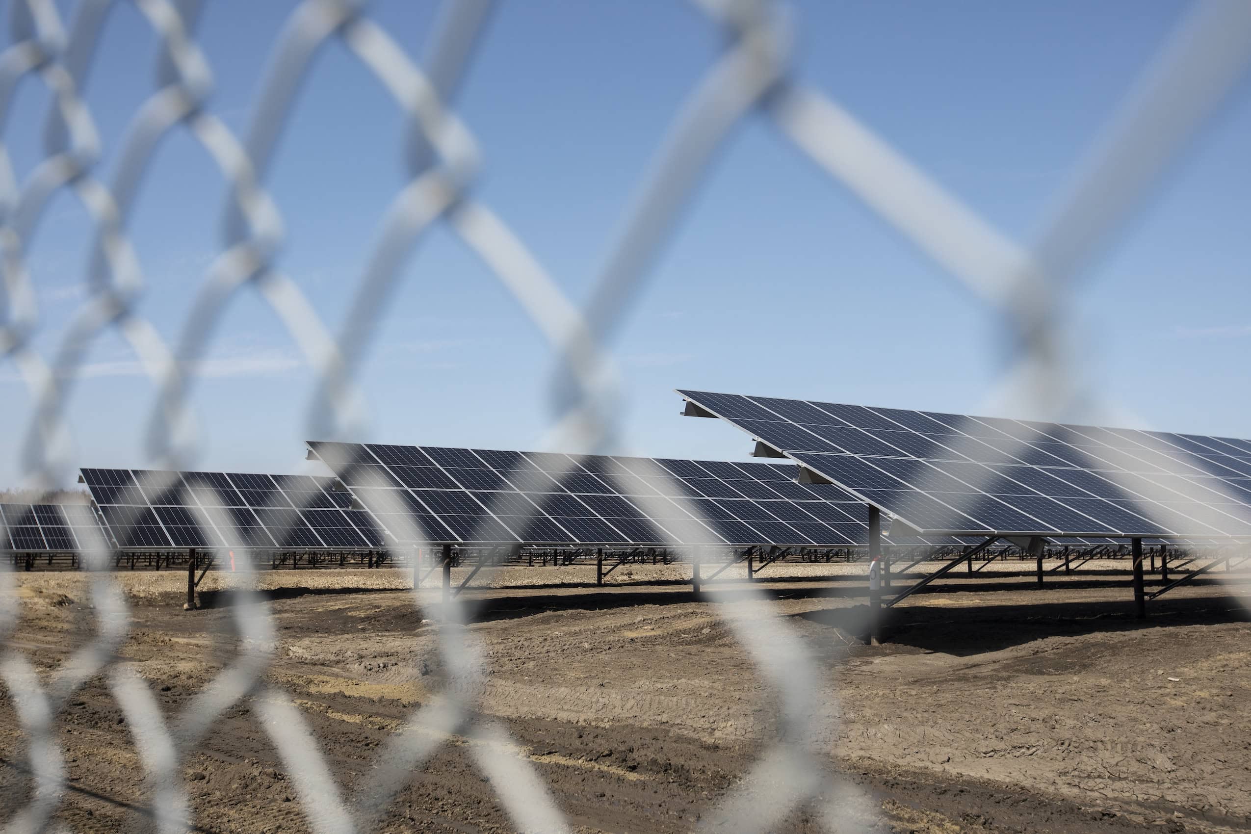 Alberta-solar-Edmonton-Amber-Bracken