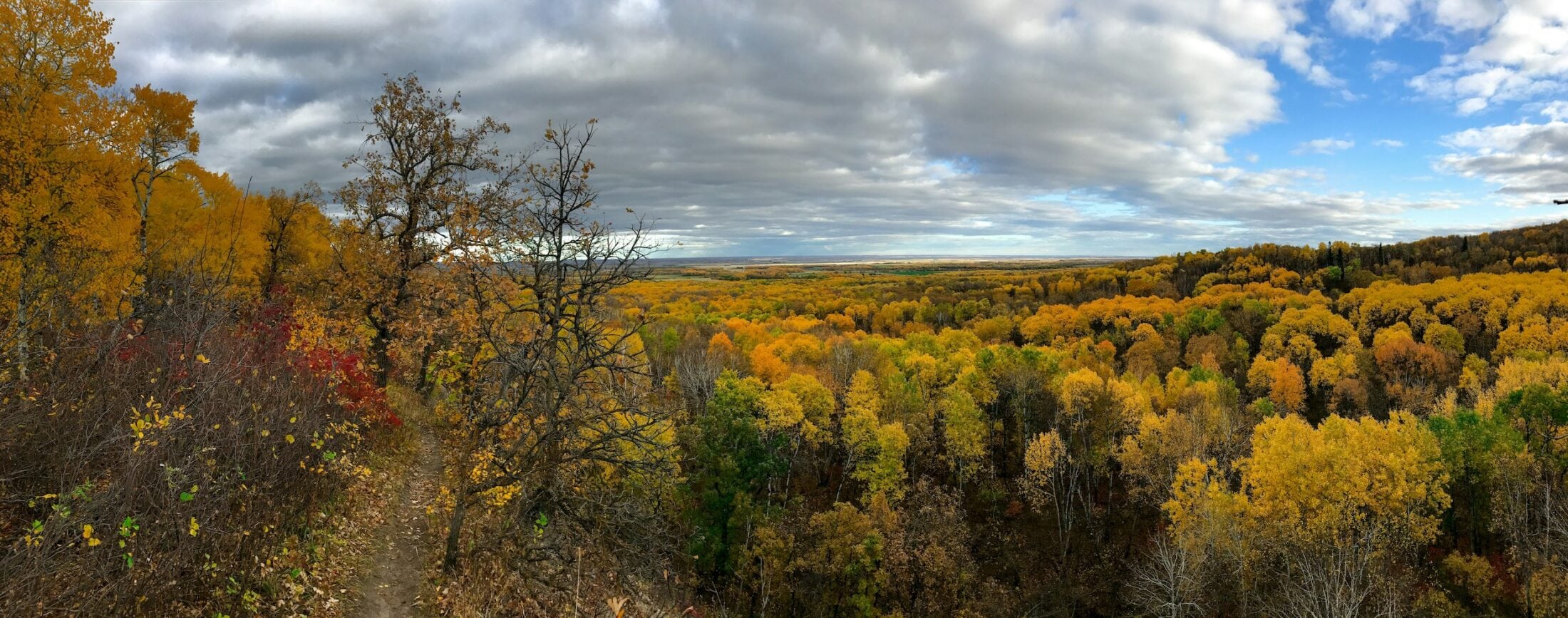 PRAIRIES-MB-Riding-Mountain-National-Park