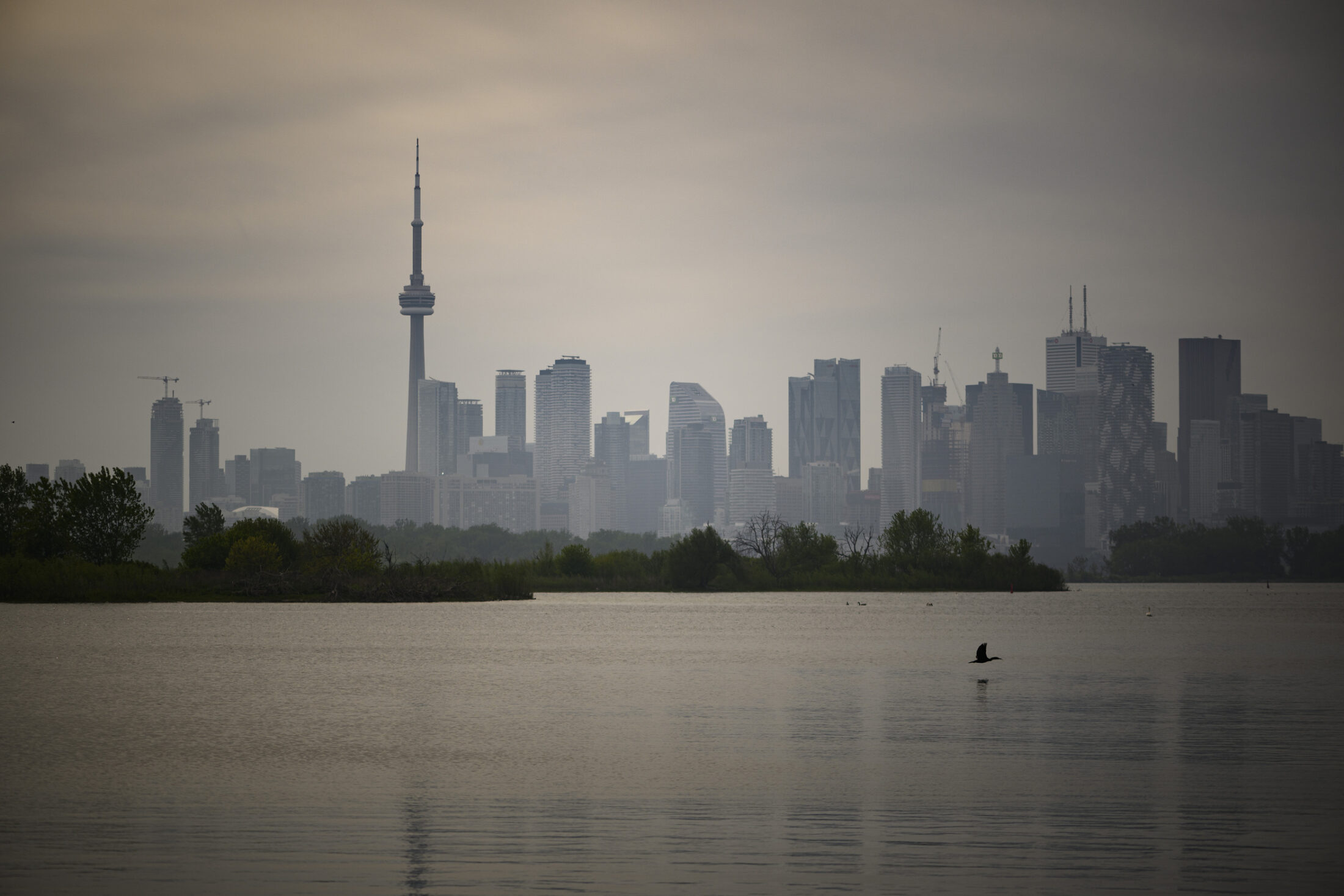 ON-Lake-Ontario-Waterfront-116-Luna