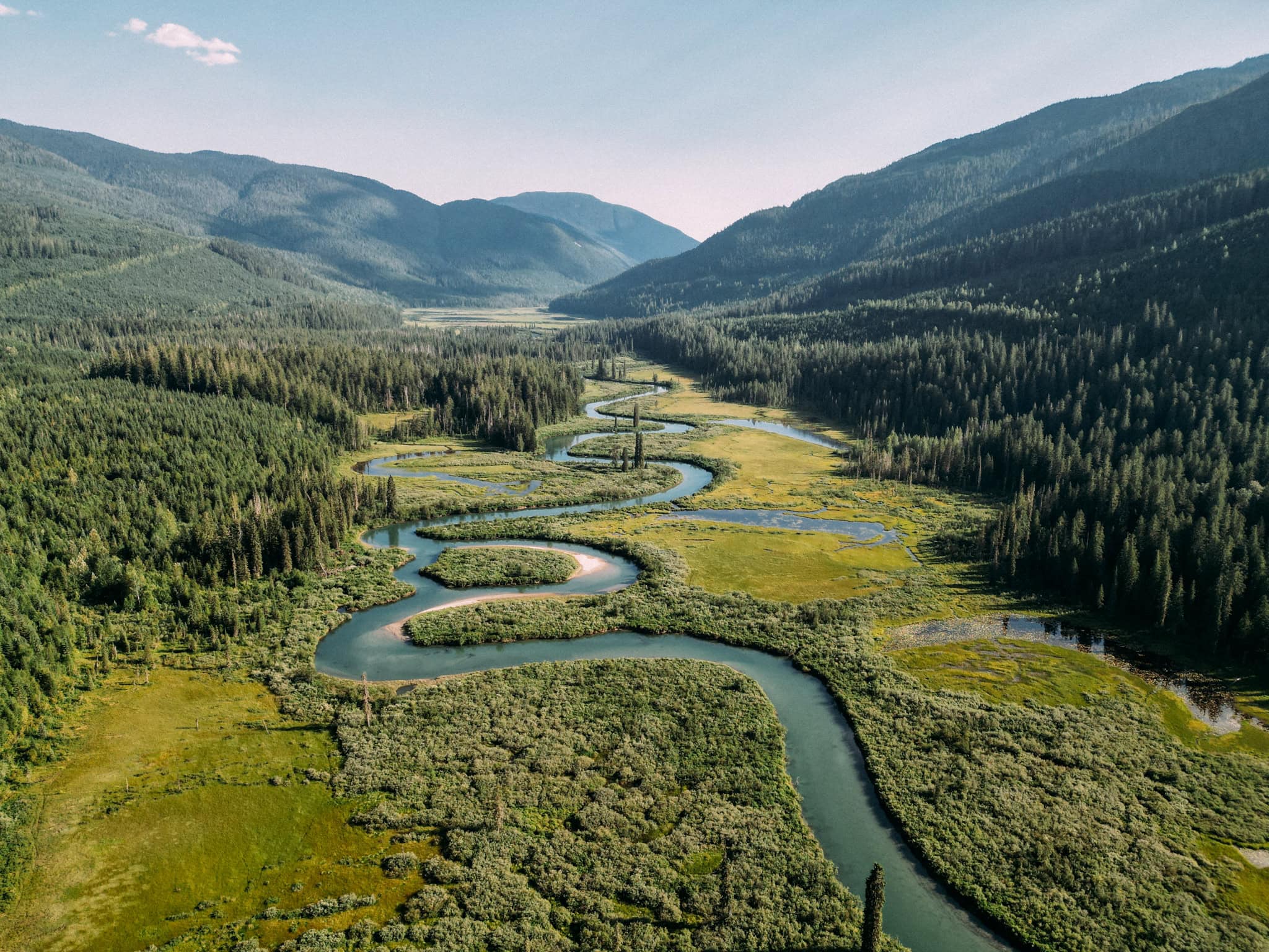 Seymour River logging