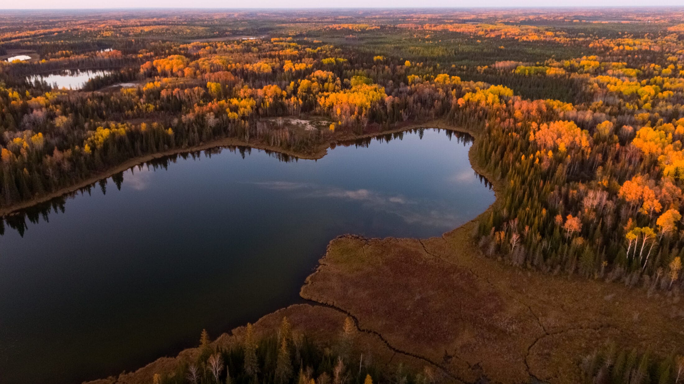 ONT-CasaDiMedia-RingofFire-aerial-peatlands