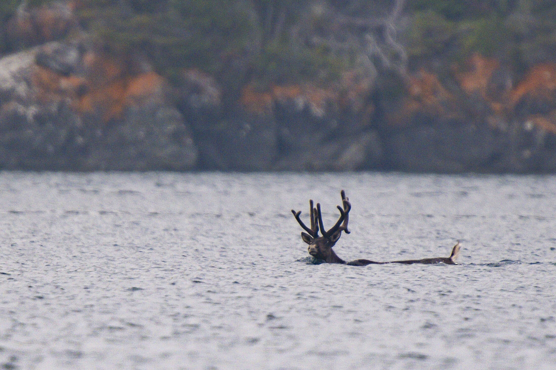 ChrisLuna-LakeSuperior8