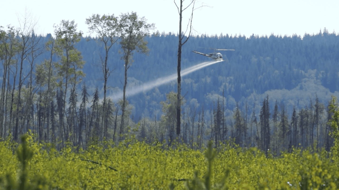 glyphosate spraying - James Steidle