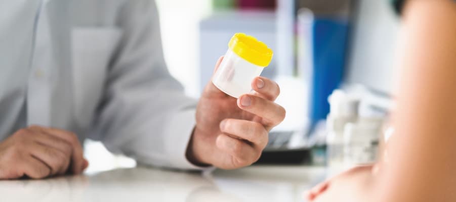 drug test collection lab