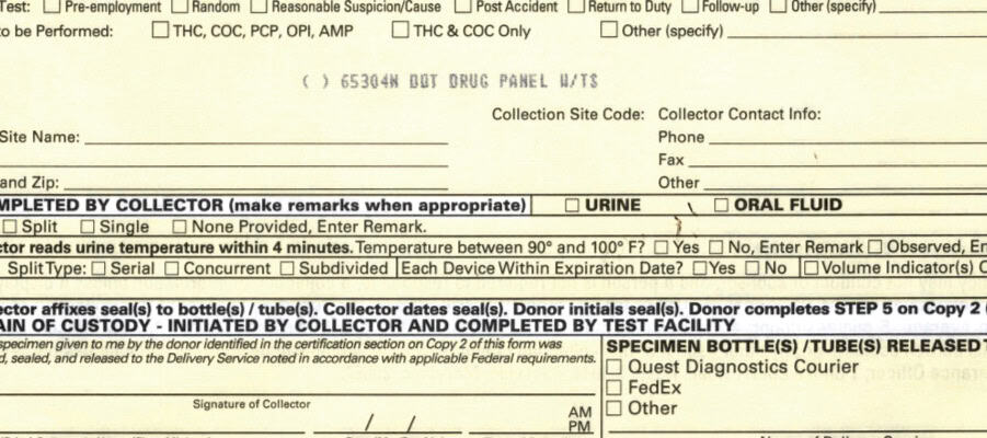 drug testing report pdf example