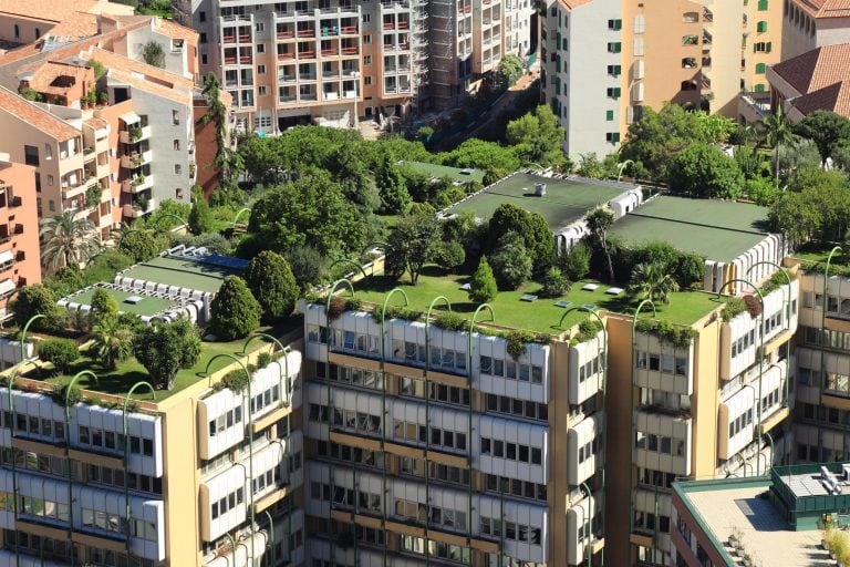 Green roof to enhance biodiversity net gain