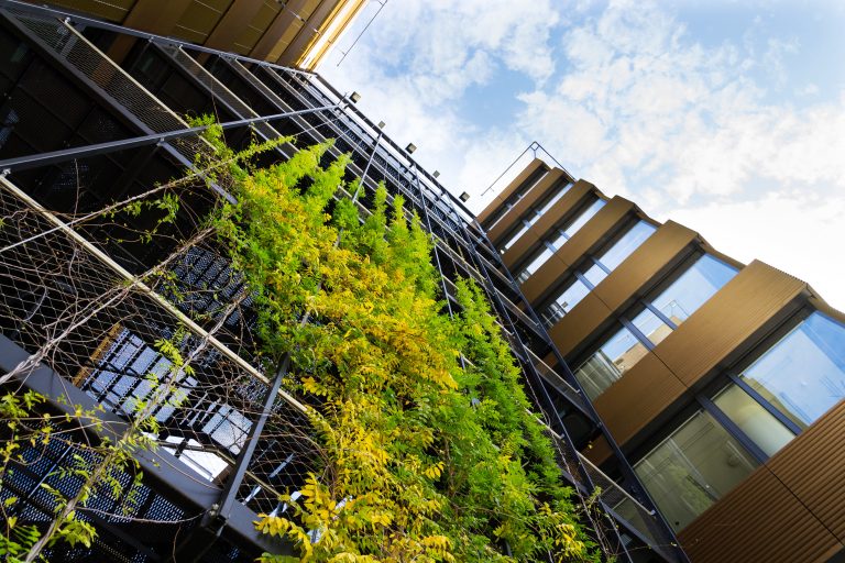 Sprawling plants on outdoor green living wall, vertical garden on modern office building façade on sunny day, low angle view, copy space = Advancing Net Zero