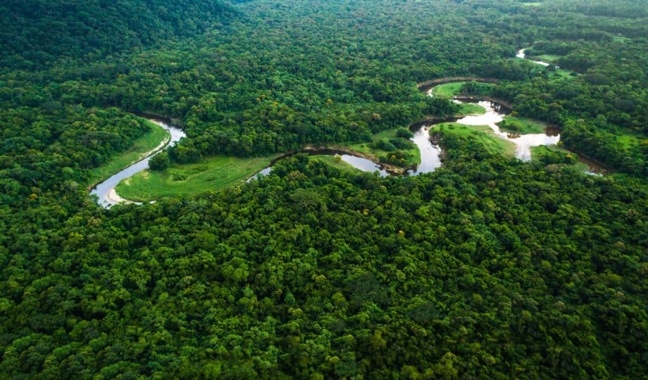 UKGBC launches Framework for a Nature-Positive Built Environment