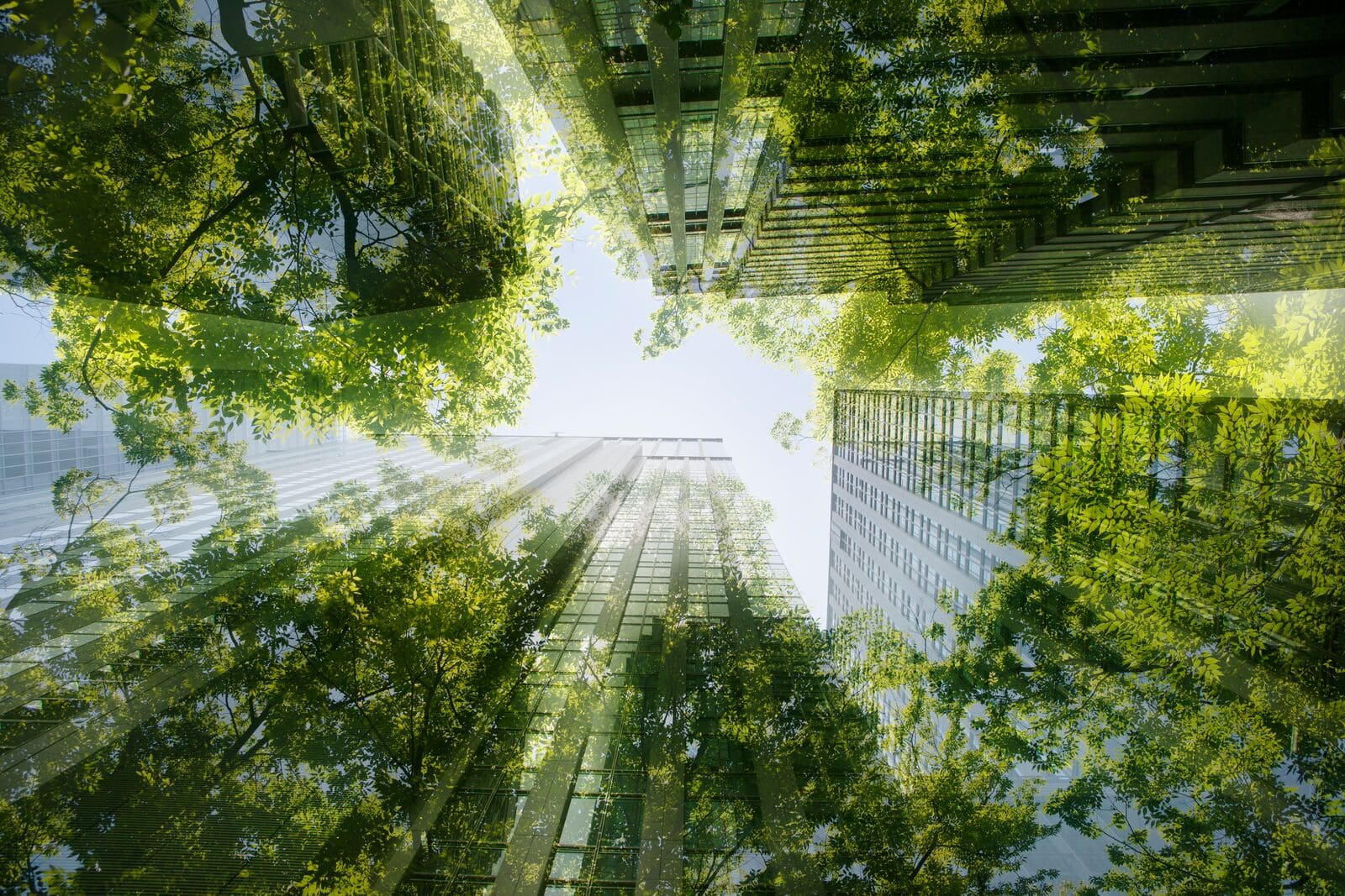 UKGBC - The UK Green Building Council