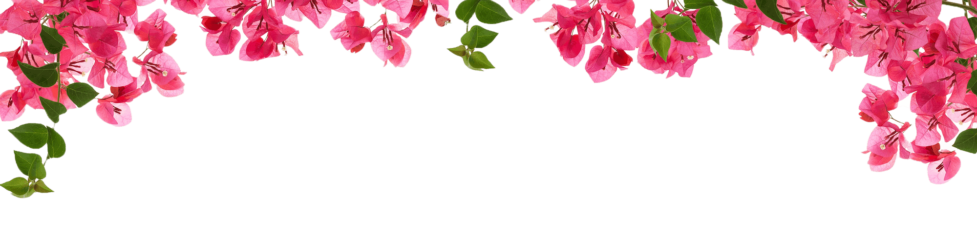 sticky flower header 1