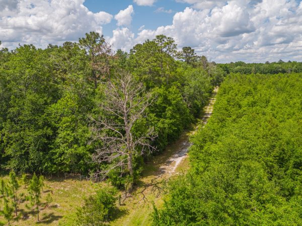 Aerials of Land in Live Oak FL Veuwr Aerials 34 of 39 scaled