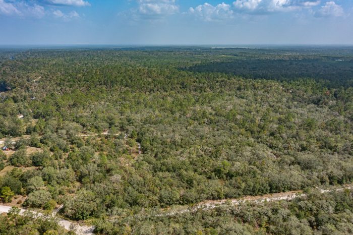 Drone Picture of Land for Sale in Live Oak FL