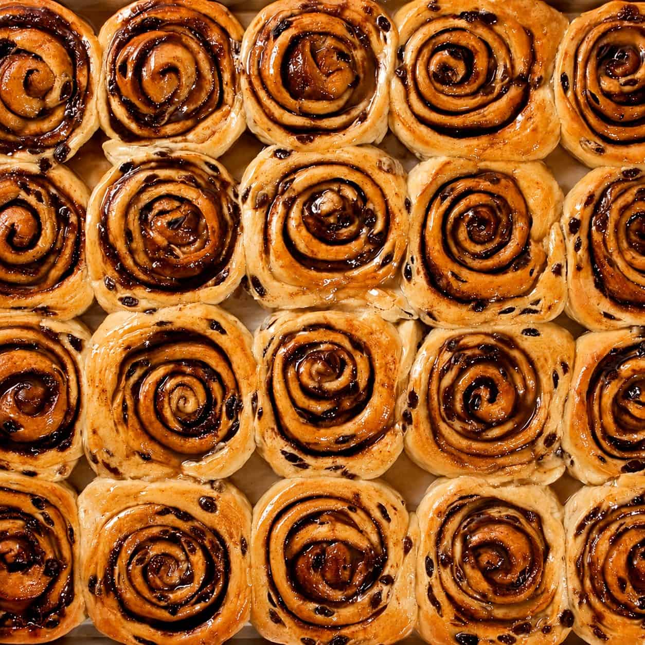 Close-up of freshly baked cinnamon rolls with chocolate drizzle.