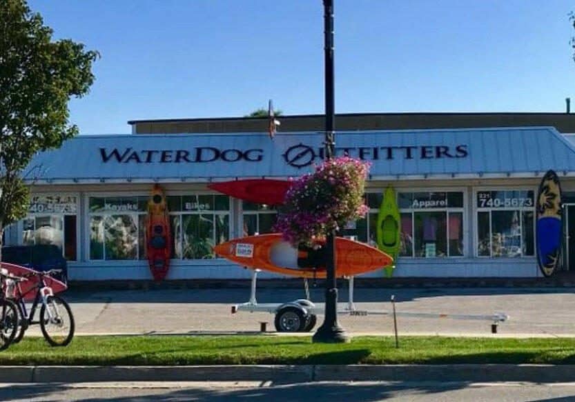 WaterDog landscape