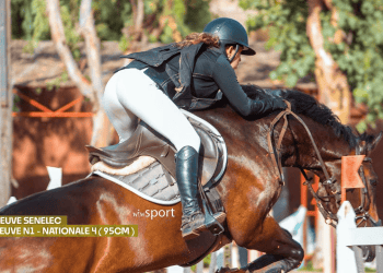 LIVE - Equitation : Suivez en direct le CSO Ecuries Hann Marinas - wiwsport