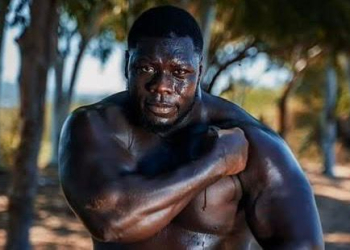 Lamb : « Actuellement mon grand frère est roi, donc je suis Roi », Émile François Gomis « Franc » - wiwsport