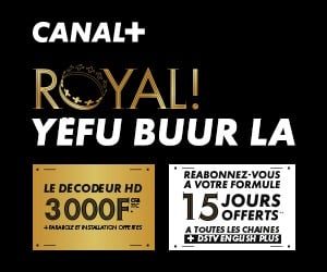 Modou Lô vs Sa Thiès : Combat Royal sur Canal+