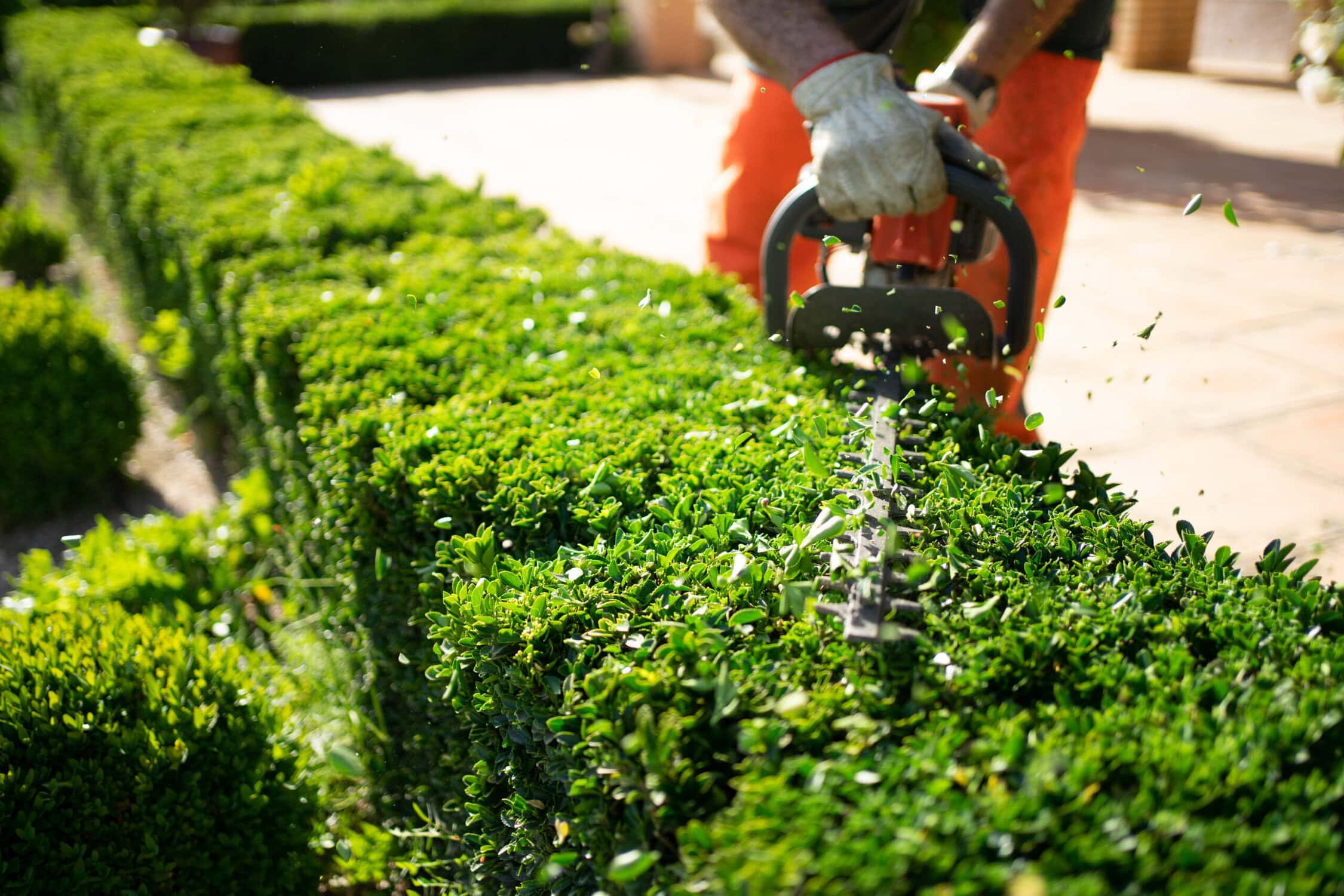 Landscaping Service