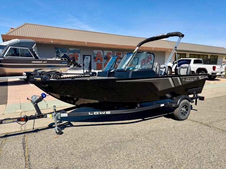 Black Lowe FM 1675 WT boat with Mercury outboard motor on trailer.
