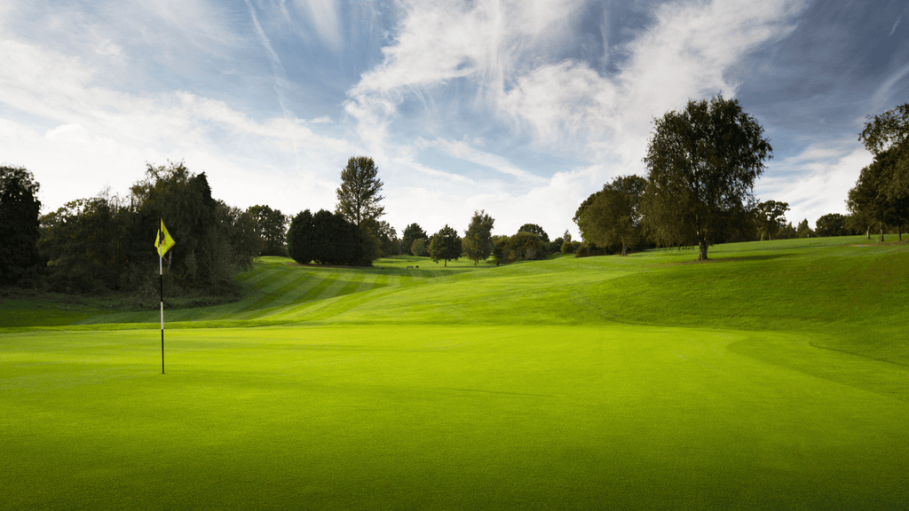 Dale hill golf course