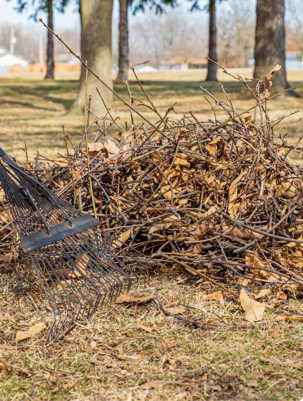 raking sticks and leaves