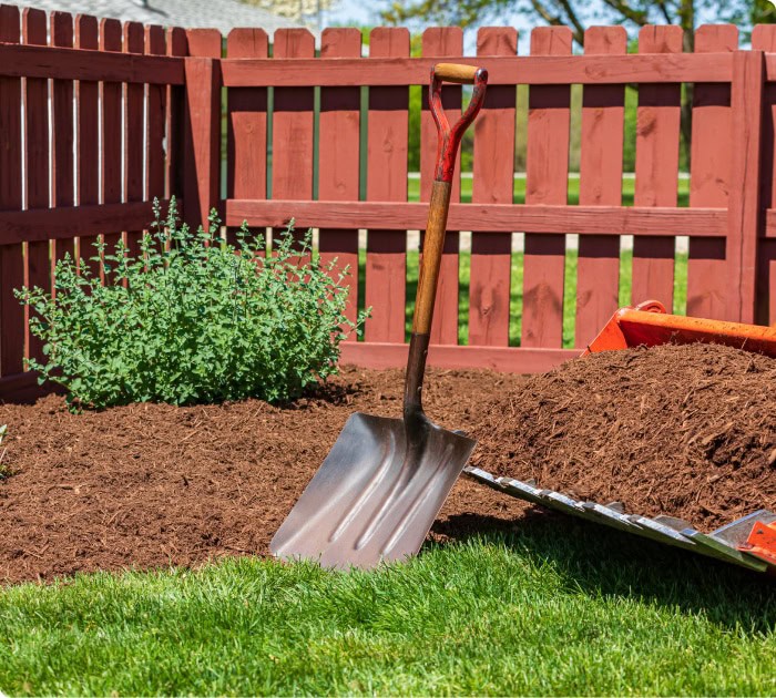 shoveling mulch
